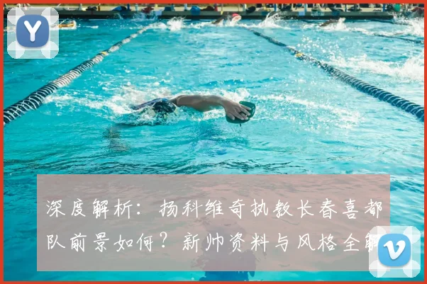 深度解析:扬科维奇执教长春喜都队前景如何?新帅资料与风格全解读